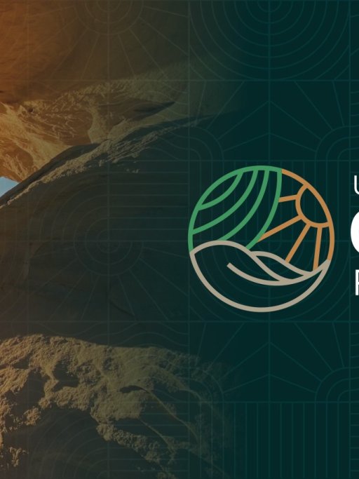 COP16