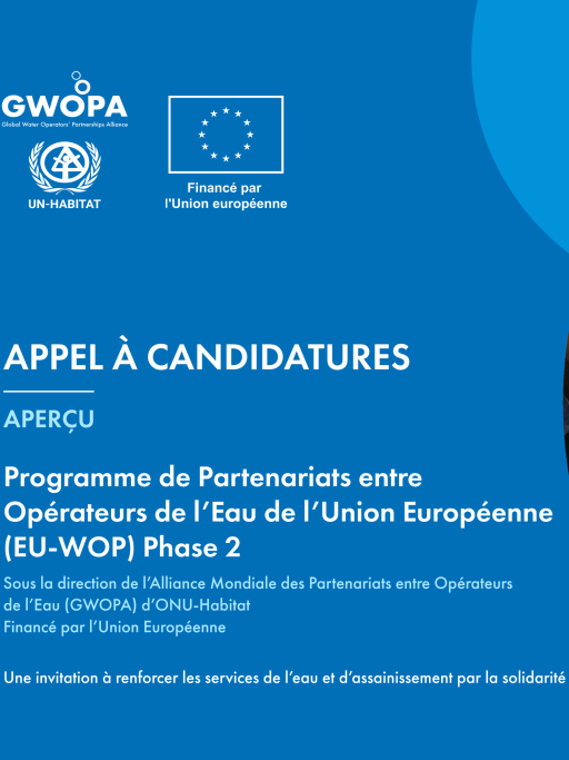 EU-WOP 2 Call for Application broche French cover