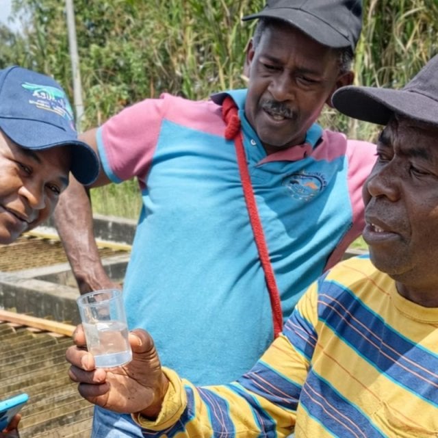 Three staff test the water quality